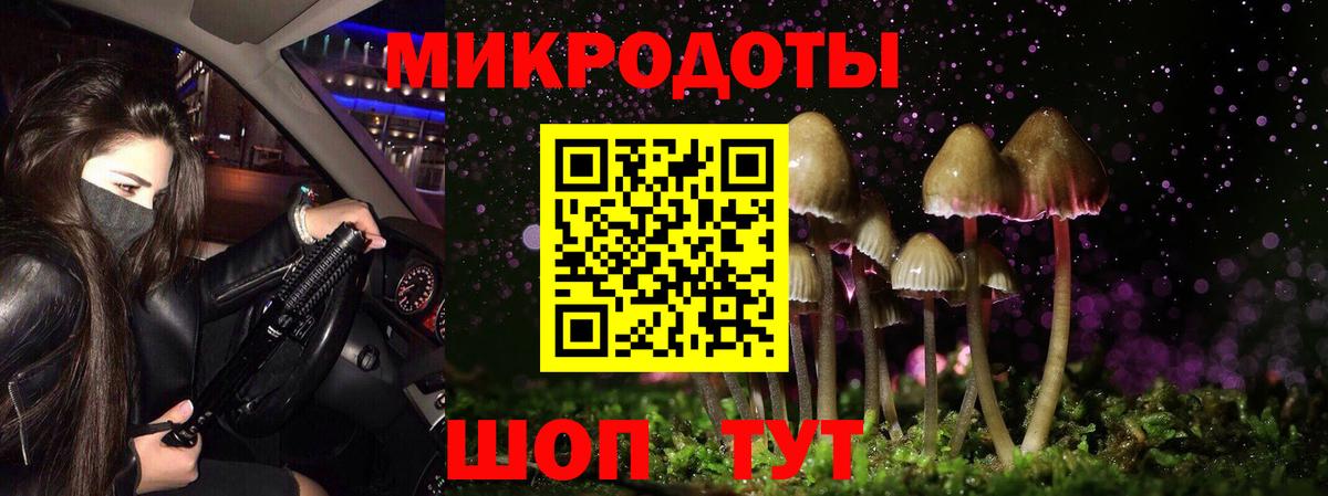 Ялуторовск  Галлюциногенные грибы Psilocybe  Вход с VPN 